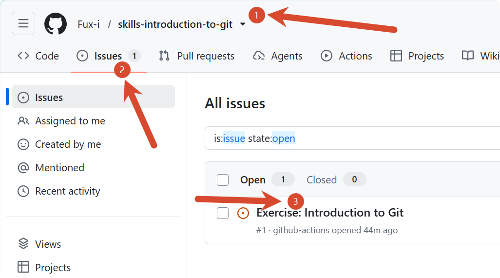 learn_git_issue